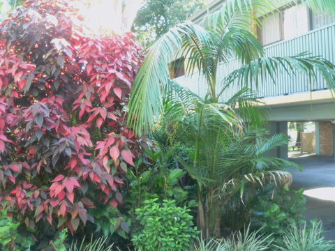 Port Stephens Motel - Accommodation Georgetown 0