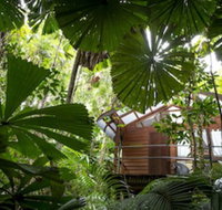 Daintree Wilderness Lodge - Accommodation Georgetown