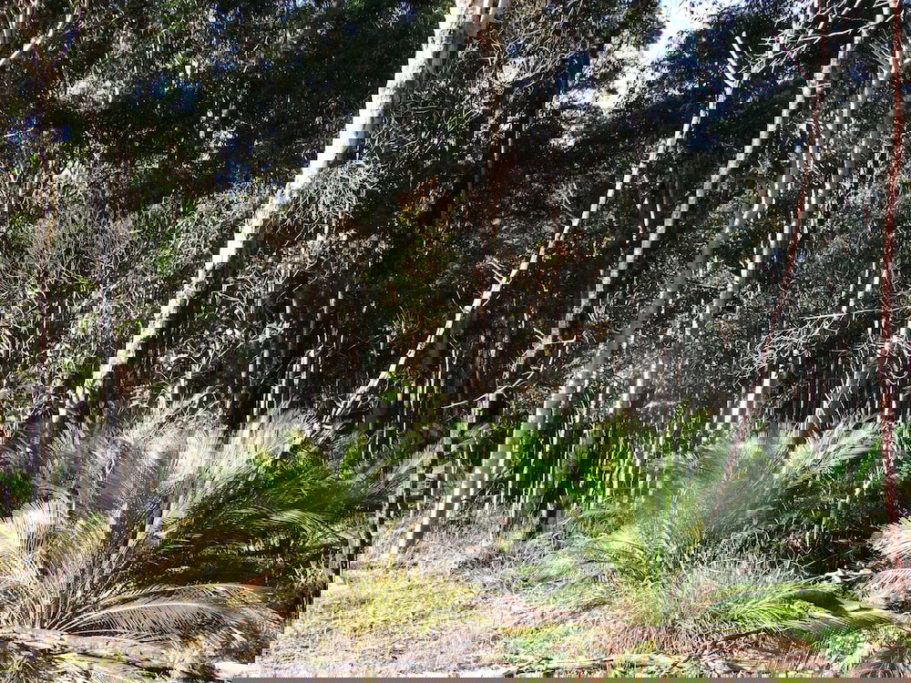  Accommodation Georgetown