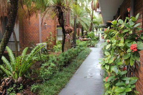 Best Western Ipswich - Accommodation Georgetown 5