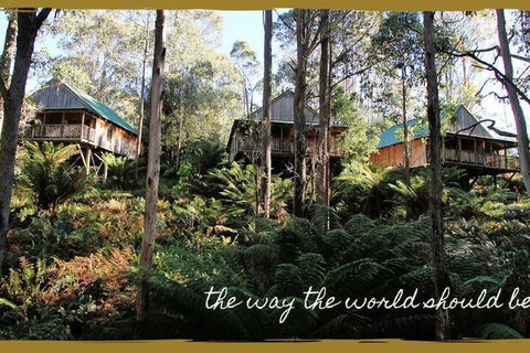 Lemonthyme Wilderness Retreat - Accommodation Georgetown 5