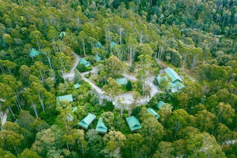 Lemonthyme Wilderness Retreat - Accommodation Georgetown 0