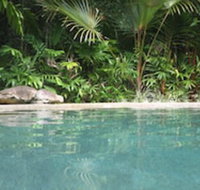 Daintree Rainforest Retreat - Accommodation Georgetown