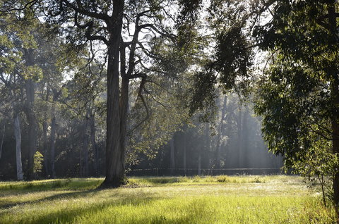 Worrowing Jervis Bay - Accommodation Georgetown 3