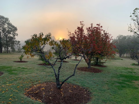 Woolshed Hill Estate - Accommodation Georgetown 6