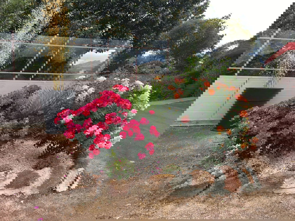 Crowlands VIC Accommodation Georgetown