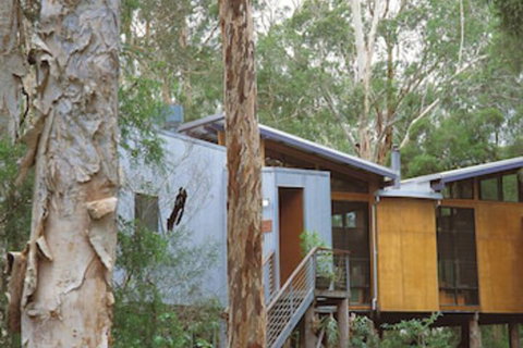 Paperbark Camp - Accommodation Georgetown 3