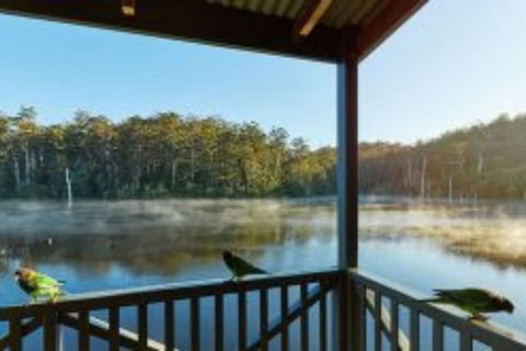 RAC Karri Valley Resort - Accommodation Georgetown 5