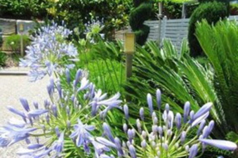 Highfields Motel Toowoomba - Accommodation Georgetown 5