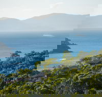 Hamilton Island Holiday Homes - Accommodation Georgetown