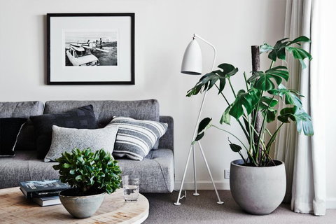 Cumberland Lorne Resort - Accommodation Georgetown 4