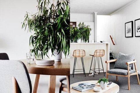 Cumberland Lorne Resort - Accommodation Georgetown 2