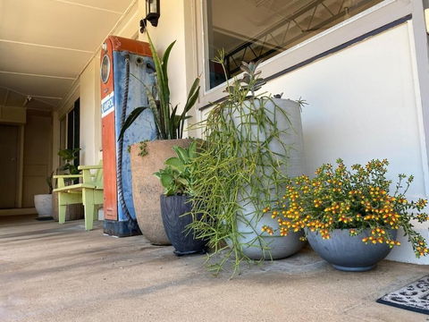 Ben Hall Motor Inn - Accommodation Georgetown 5