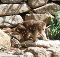 Jenolan Caves House - Accommodation Georgetown