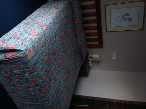 Downtown Motel - Accommodation Georgetown 0