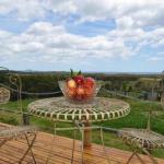 Beths Cottage Roaring 40s - Accommodation Georgetown 0