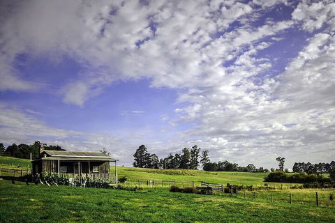 Wines For Joanie Cottage - Accommodation Georgetown 2