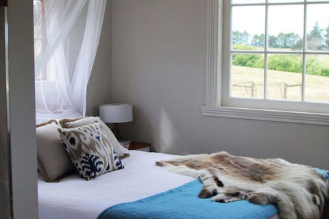 Wines For Joanie Cottage - Accommodation Georgetown 5