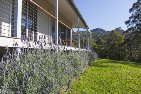 Wilderberry Cottage - Accommodation Georgetown 4