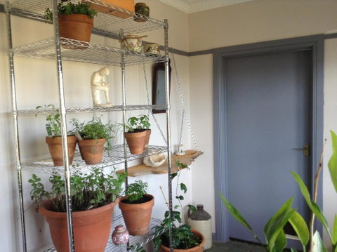 Springmead B & B - Accommodation Georgetown 1