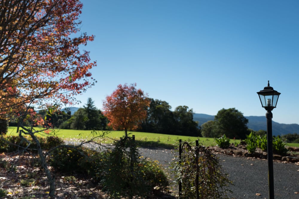 Megan NSW Accommodation Georgetown