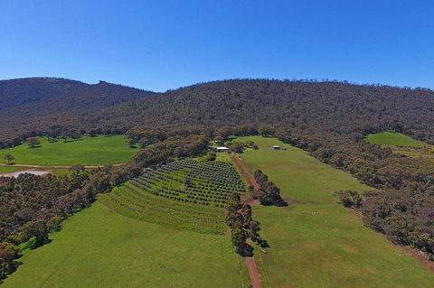 Jilba - Accommodation Georgetown 4