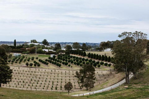 Rivendell East Gippsland - Accommodation Georgetown 6