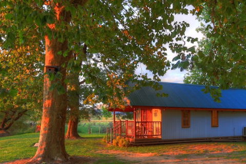 Colac Colac Caravan Park - Accommodation Georgetown 5
