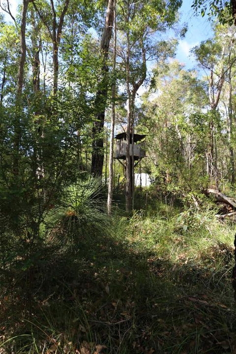 Nannup Bush Retreat - Accommodation Georgetown 2