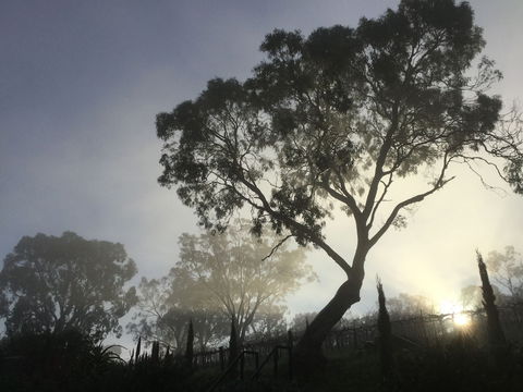 Barossa White House - Accommodation Georgetown 3