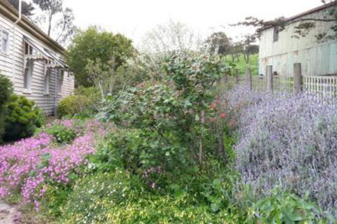 Alvie Cottage - Accommodation Georgetown 1