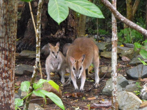 Yachtsmans Paradise Whitsundays - Accommodation Georgetown 6