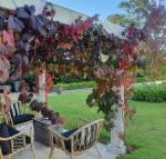 The Cottage - Accommodation Georgetown