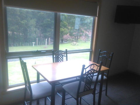 Sunny Gum - Accommodation Georgetown 5