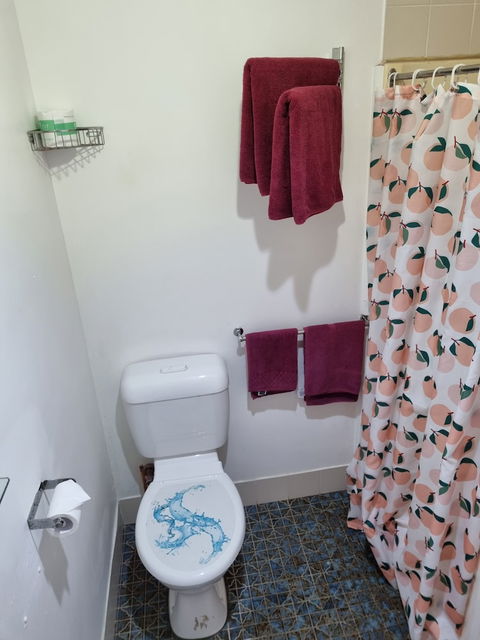 Taree Lodge Motel - Accommodation Georgetown 4