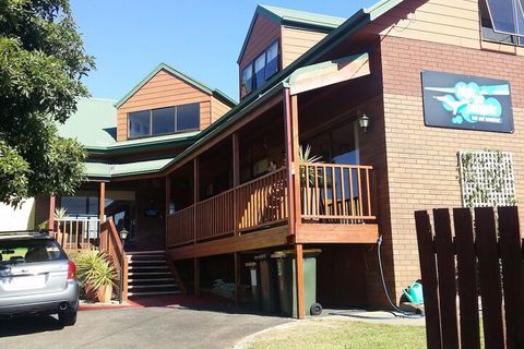 High On Penguin - Accommodation Georgetown 1