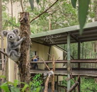 Springwood Meditation Vacation Center - Accommodation Georgetown