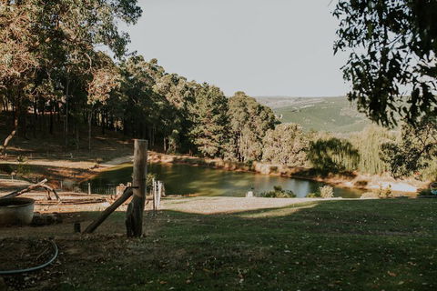 Nannup Hideaway - Accommodation Georgetown 6