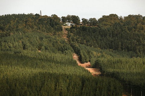 Nannup Hideaway - Accommodation Georgetown 4