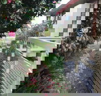 The Glen Family House - Accommodation Georgetown