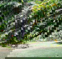 Sanctuary in The Pocket - Accommodation Georgetown