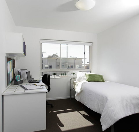 Unilodge At UC Short Stays - Accommodation Georgetown 4