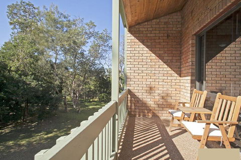 Banksia Sawtell NSW - Accommodation Georgetown 6