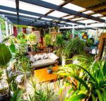 Jaspers Apartments - Accommodation Georgetown