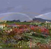 Boat Harbour Garden Cottages - Accommodation Georgetown