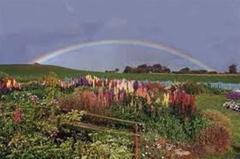 Boat Harbour Garden Cottages - Accommodation Georgetown 0