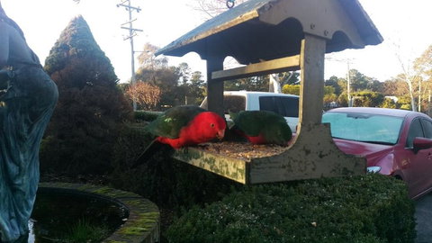 Grand Country Lodge Motel - Accommodation Georgetown 3