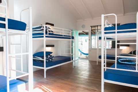 Wake Up! Byron Bay - Accommodation Georgetown 3