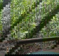 Daintree Crocodylus - Accommodation Georgetown