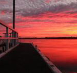 Fairy Wren Cottage Country to Coast Retreat - Accommodation Georgetown